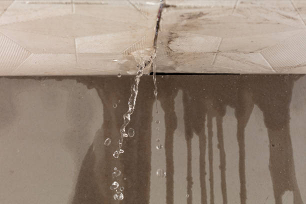 Professional Structural Drying technician working in Auburn, NY